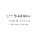 뿌리길 티스토리