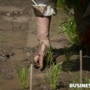 밥상스토리 이미지