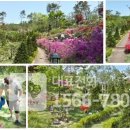 반송목장 이미지