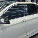 제틀리시(zartlich) 이미지