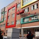 하이켐유치원 | 백화 발생 원인과 조치