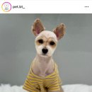 정봉미용실 네이버블로그