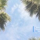디에스솔루션즈(주)