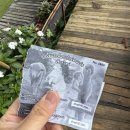 로아펜션 | [치앙마이 한달살기] D+15/먼쨈/Alpaca Sheep Farm Mon Jam/카우카무(족발밥) 맛집/앙 깨우 저수지/도이...