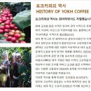 도이창 요크(Yokh coffee)와 Colombia Finca Samaniego (Micro Lot) Specialty, 골드락인터네셔널(GoldRock INTERNATIONAL) 케냐법인 직영농장의 케냐 내추럴 이미지