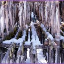 황태덕장 이미지