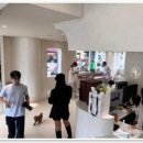 부산 강아지분양 디테일퍼피 이미지