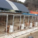 천하농장 이미지