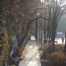 구봉산근린공원 이미지