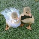 봉양로-2 | W01_ 창원 힐스카이 웨딩&amp;컨벤션 힐그랜드홀 당일 계약 후기