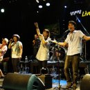 꽃다지 앞 이미지