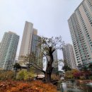 서초구립반포서래어린이집 이미지