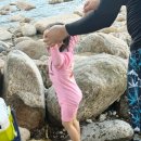 정금교 옆 이미지