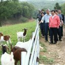산양축산 이미지