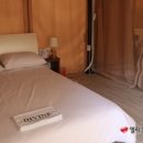 디바인리조트 이미지