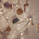 트리트멍멍 이미지