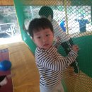 키다리방방 이미지