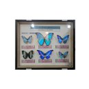 어림5길 83, (안림동) | 푸딩의 효능