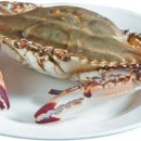 사계절꽃게 이미지