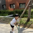 플레이키즈프로신세계강남점
