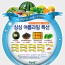 초록과일