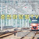강원도 공인중개사사무소 이미지
