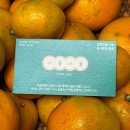 영재농장 | 우리집 단골 감귤 택배|최고 당도를 보장하는 제주 이귤이귤