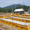 청산양봉원 이미지