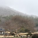 명승 | 진도 여행 가볼만한 곳 명승 진도 운림산방 방문후기 주차 입장료 소치기념관 정리