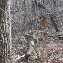 백일경로당 이미지