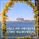 동서울 카크리닉 | 서울 근교 여행 서해가볼만한곳 가족나들이 제부도여행 <서해랑 제부도해상케이블카>