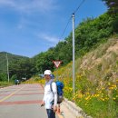 바다로 가는 사람들 이미지