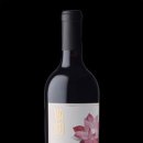 다나에스 이미지