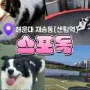 센텀필약국 이미지