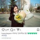 보물섬 이미지