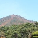 부산추모공원 이미지