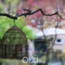 싸이버넷트 이미지