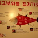 참치정육점;참다랑어막주는집양산물금점
