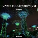 스카이 돔 나이트 | 싱가포르 가든스바이더베이 입장권ㅣ정원 관람 아바타 나이트쇼 평일 저녁 후기