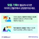 아이티고릴라 - 17756 | 아이티고릴라