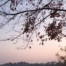 백로공원 화장실 이미지