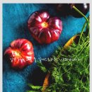 바우네PC | 같은 하나 다른 둘 길게스트하우스 산과바다사이