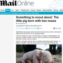 성의농장 2 이미지