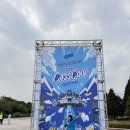 쿨뮤직 | 2025 카스쿨(CASSCOOL) 페스티벌 후기 뮤직 맥주축제