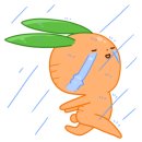 고양이카페 랙돌 네이버블로그