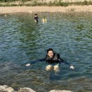 동막골 유원지 협동조합 이미지