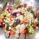 파파쿠치나 이미지