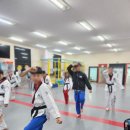 창신태권도 이미지