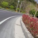 해맞이주유소 이미지