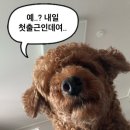 동광고등학교 | 고졸 신입 개발자의 개발자 면접 후기와 취업까지의 회고